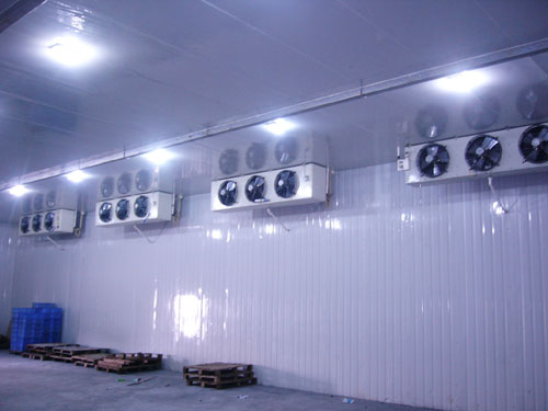 ����չʾ